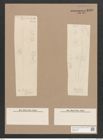 Pleurosigma sp. (de-Toni-Nr.: Genus 13, Species 1002) Zeichnungen Sammlung Grunow Nr. 2150 (NHMW-BOT-W0369198)